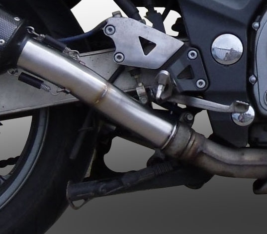 Kawasaki ZZR600 2002-2006 Exhaust GPR Trioval Dual Slip On