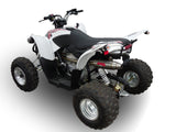 Access Supermoto 450 2005-2024 Exhaust GPR Deeptone Atv Slip-On - photo 7