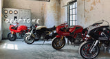 Triumph Bonneville Thruxton 1200 2016-2019 Exhaust GPR Ultracone Inox Cafè Racer Silencer Only