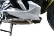 BMW R1250R R1250RS 2021-2024 Exhaust GPR Decat Pipe CO.E5.BM.107.DEC - photo 1