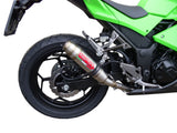 Kawasaki Ninja 300R 2012-2017 Exhaust GPR Deeptone Inox Slip-On