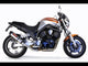 Yamaha Bulldog 1100 2002-2007 Exhaust GPR Satinox Dual Slip On Race