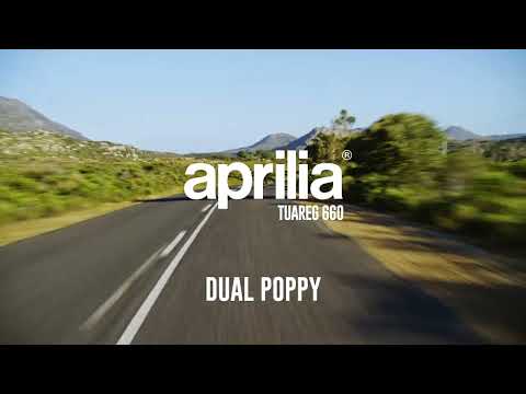 Aprilia Tuareg 660 2021-2024 Exhaust GPR Dual Poppy Slip-On