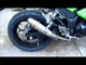 Kawasaki Ninja 300R 2012-2017 Exhaust GPR M3 Inox Slip-On