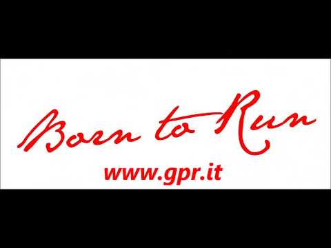 BMW F800 Gs 2024-2025 Exhaust GPR Albus Evo4 Slip-On