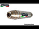 Triumph Scrambler 400 X 2023-2025 Exhaust GPR Deeptone Inox Slip-On