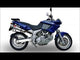 Escape Cagiva Gran Canyon 1998-2000 GPR Trioval Dual Slip On
