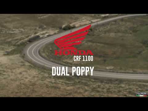 Escape GPR Dual Poppy Slip-On para Honda CRF1100L Africa Twin 2020-2025