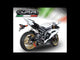 Yamaha R6 2006-2020 Exhaust GPR Furore-X Inox Slip-On
