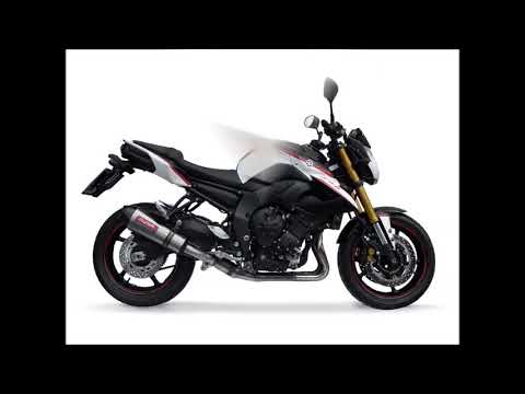 Yamaha FZ8 2010-2016 Exhaust GPR Albus Ceramic Slip-On