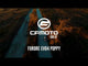 CF Moto 650 GT 2022-2024 Exhaust GPR Furore Poppy Mid Full System - video 2