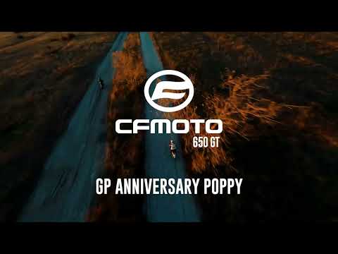 CF Moto 650 Gt 2022-2024 Exhaust GPR Grand Prix Evo Poppy Slip-On - video 1
