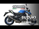 Suzuki GSXS 1000F 2017-2020 Exhaust GPR Albus Evo4 Slip-On