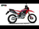 Honda CRF 300L / 300 Rally 2021-2024 Exhaust GPR Furore Poppy Slip-On - video 2