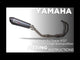 Échappement GPR Albus Evo4 Système Complet High Level pour Yamaha Tracer 9 2025-2026